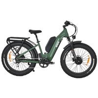 Vélo électrique de chasse à deux roues motrices à double moteur 750W