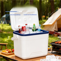 Mini-réfrigérateur portable isotherme 10L pour voiture, glacière robuste en PU pour camping extérieur, canettes, aliments et boissons