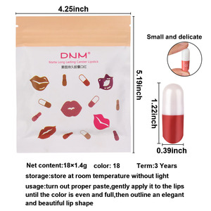 DNM 18 colores Mini cápsula estilo lápiz labial terciopelo mate lápices labiales conjunto viaje tamaño tinte alto pigmento cosméticos - Product Image 5