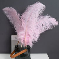 Plumes d'oiseaux colorées de 45-50 cm, d'origine sud-africaine, en véritable plume d'orange, pour décoration de carnaval, grandes plumes blanches pour la confection de chapeaux et la décoration de mariage