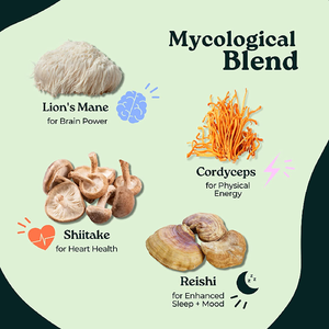 Cápsulas de Cogumelos Shiitake para Imunidade, Suplemento de Saúde para Adultos, Feito com Extrato de Cordyceps Sinensis e Cabelo de Leão, Orgânico e Vegetariano - Product Image 4