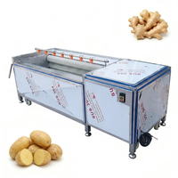 Rolbodemlengte 1000mm 500KG/H Cassaveverwerkingsmachines Fruitborstelwasmachine Borstelrol Aardappel schilmachine