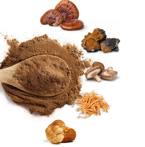 Chất lượng cao cấp thực phẩm nấm chiết xuất bột pha trộn có tính năng sư tử bờm Đông Trùng Hạ Thảo Reishi <span class=keywords><strong>Chaga</strong></span> Thổ Nhĩ Kỳ đuôi maitake chiết xuất - Product Image 3