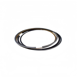 Kit de segments de piston STD pour Honda Accord Odyssey <span class=keywords><strong>GC5</strong></span> RA3 RA6 13011-PAA-Y01 - Product Image 1