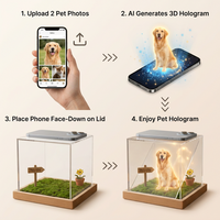 Boîte commémorative numérique holographique moderne en plastique pour animaux de compagnie, pour chats et chiens, avec projection 3D en acrylique, pour condoléances en cas de perte - Vente en gros