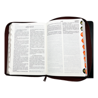 Conception d'impression personnalisée de haute qualité Livre de la Sainte Bible à couverture rigide OEM coloré et bon marché accueilli