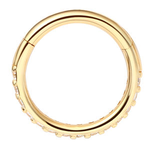 Ebedi Metal gerçek 14K katı altın yan yarım kaplamalı CZ menteşeli Segment Hoop yüzük burun & kıkırdak piercing takı - Product Image 4