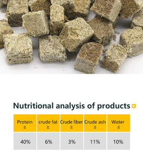 หนอน <span class=keywords><strong>tubifex</strong></span> แช่แข็งแห้ง - Product Image 5