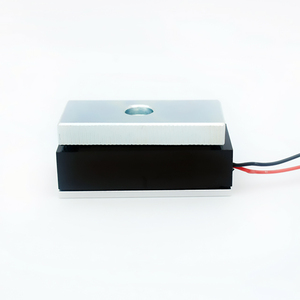 Landa LDML0060 Elektro magnetisches Schloss 12V 24V DC 60kg Mini-Türschloss - Product Image 4