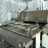 Four à tunnel électrique automatique en acier inoxydable avec convoyeur de chargement et de déchargement pour boulangerie, neuf, pour le traitement de la farine de blé, marque LINKON
