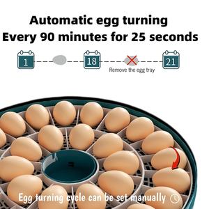 30 yumurta için Mini otomatik yumurta kuluçka çift güç PP yumurta dönüm makinesi yeni durum - Product Image 4
