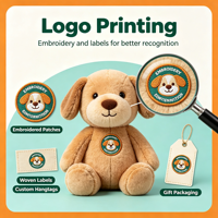 Peluche personnalisée, poupée mascotte créative culturelle sur mesure, coussin pendentif personnalisé, jouet en peluche rembourré, service OEM