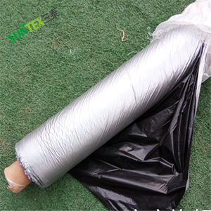 Film de paillage agricole robuste <span class=keywords><strong>en</strong></span> plastique HDPE noir et <span class=keywords><strong>argent</strong></span>é pour le contrôle des mauvaises herbes, idéal pour les légumes et les vergers - Product Image 1