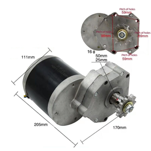 Motor para Cortacésped, Motor de Alta Potencia de Cobre Puro de 600W, 12V, 24V, Motor de Cadena - Product Image 2