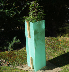 Protecteur d'<span class=keywords><strong>arbre</strong></span> en PP ondulé, protection de <span class=keywords><strong>tronc</strong></span> d'<span class=keywords><strong>arbre</strong></span> sur mesure - Product Image 3