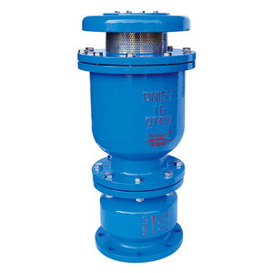 Guangdong Magnesium Special Automatic Exhaust Valve DN150 Ductile Iron Check Type For Water Use - Product Image 1