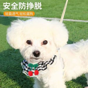 Harnais pour animaux de compagnie avec laisse réglable pour petits chiens et chats, design à carreaux mignon avec décorations cerises ou fleurs - Product Image 2