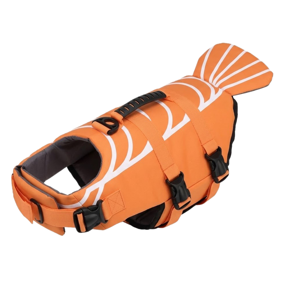 Vibrant Orange Shrimp