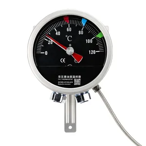 Angeda Chất lượng cao BWY-802/803 dầu nhiệt chỉ số biến áp điều khiển nhiệt độ và đo lường