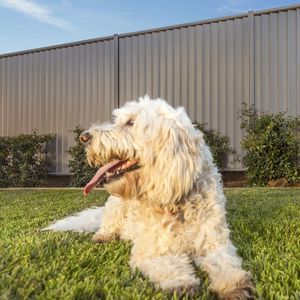 Sistema de Cercas de Aluminio Duradero y Colorido para Protección de la Privacidad de Viviendas y Comercios, Hecho en Australia - Product Image 1