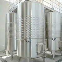 Ligne complètement automatique de production de vin de papaye machine de fermentation de traitement de vin de fruit