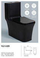 AIDI Haut de gamme Washdown P-trap / Siphonic S-trap Noir Mat Grande Taille Salle de Bain Commode Céramique Inodoro WC Carré Toilette One Piece