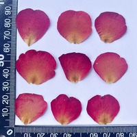 Pétales de rose rouge séchés et pressés naturels en gros pour l'artisanat DIY, la décoration de mariage, le scrapbooking