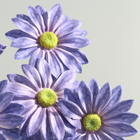 Bunga Matahari Daisy Artificial Real Touch Kelas Atas Seri Warna Monet untuk Dekorasi Pesta Pernikahan Mewah