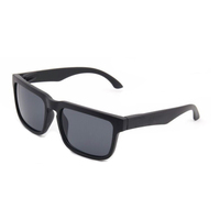 Vente flash, lunettes de soleil unisexes à monture carrée, verres gris Tac, UV400, logo personnalisé, pas cher