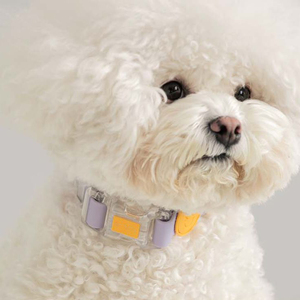 Collar para Perro de PVC Impermeable con Remaches, Personalizado con Logotipo, de Lujo, Color Liso, <span class=keywords><strong>Grabado</strong></span>, Duradero y Bonito, para <span class=keywords><strong>AirTag</strong></span> - Product Image 6