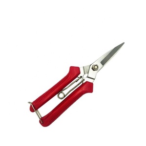 Garden Pruning Shears Stainless Steel Eco-Friendly Durable Vegetable Fruit Picking <strong>Scissors</strong> <strong>Potted</strong> Trim Weed Gardening Tool - Product Image 3