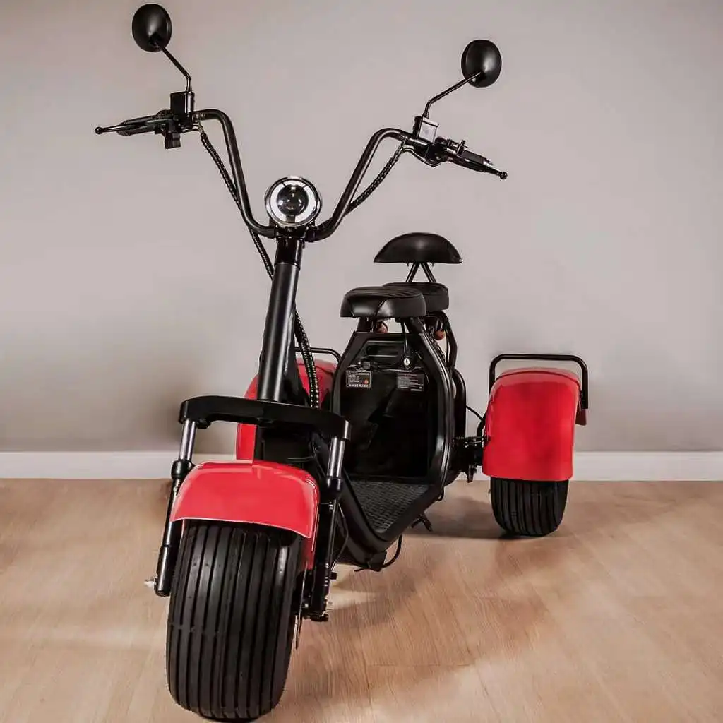 Citycoco-patinete eléctrico Easy Rider, Scooter todoterreno de tres ruedas, venta directa de fábrica