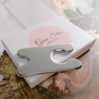 Kit de Gua Sha en Acier Inoxydable pour le Visage – Outil de Massage Anti-âge en Métal pour le Scraping Facial