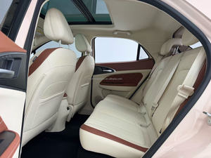 Offerta Speciale 2021: Auto Elettrica Smart Hatchback con Autonomia di 400km, Versione <span class=keywords><strong>Venus</strong></span>, Batteria LFP, per il Mercato Globale - Product Image 6