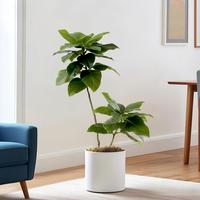 Feuilles de figuier artificielles de haute qualité de 130 cm, vertes toute l'année, pour la décoration intérieure, lot multi-pièces pour mariage, Pâques, nouveautés