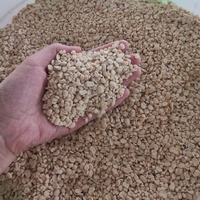 Éplucheuse automatique de haricots noires fabriqué en chine, machine à éplucher les yeux