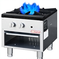 Cuisinière professionnelle à gaz propane/gaz naturel à brûleur unique, en acier inoxydable, pour comptoir de restaurant ou d'école