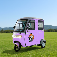 Tricycle électrique très économique, véhicule de loisirs et de déplacement quotidien, idéal pour le shopping, la récupération des enfants et l'utilisation familiale