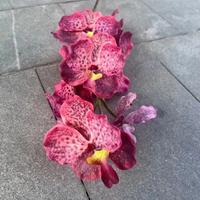 Q-2209 bunga anggrek sutra buatan Vanda 9 Kepala Vanda bunga pernikahan elegan