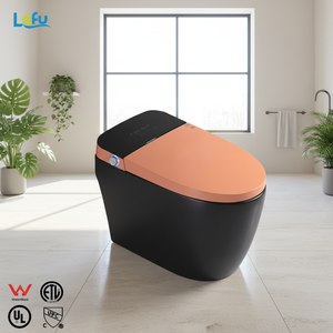 <span class=keywords><strong>Wc</strong></span> à chasse d'eau automatique de couleur gris orange mat, une pièce en céramique, salle de bain intelligente, toilette intelligente - Product Image 1