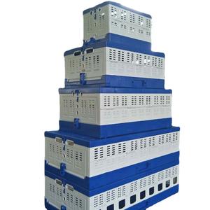 Vendita calda grande cassa di plastica pieghevole per il trasporto di pollo direttamente dalla fabbrica modello solido chiusura a bottone per l'applicazione degli uccelli - Product Image 5