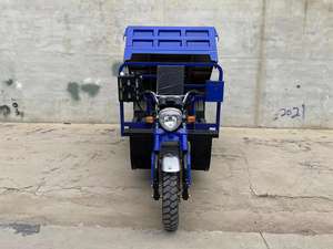 Tricycle à moteur 250cc à 5 roues pour adulte, moteur à essence robuste, moto 250cc, scooter pour le transport de marchandises - Product Image 3