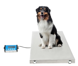 Báscula Digital para Animales/Ganado de 200 kg con Pantalla LCD, Plataforma de Acero Inoxidable OEM, Interfaz USB/RS-232, Unidades Kg/lb/pcs - Product Image 1