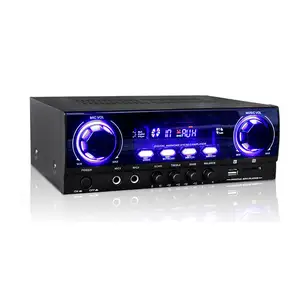 Professional Digital mini two Channel Sound Small Home Pa Amplifier