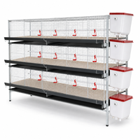 Cage à poulettes galvanisée à prix d'usine HK pour l'élevage et la croissance des poussins, structure de cage en maille pour volailles