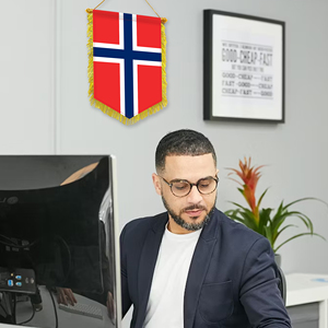 Mini 20x30cm Pennant Car Flags Norway Wall Decor Display Accessories <b>Small</b> Ornaments for Hanging - Product Image 2