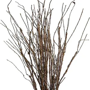 Artificial Twigs Curly Willow Branches, Lifelike Bendable Artificial Branch Flower Dried Stems for Home Decoration