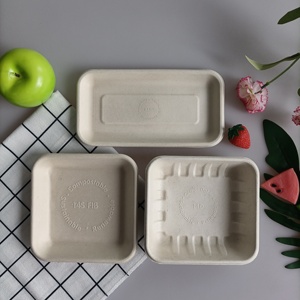 Plateau alimentaire de canne à sucre jetable biodégradable Descartable Platos Desechables écologique pour les occasions de fête - Product Image 3