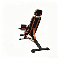 Banc de musculation multifonctionnel Wellshow pour un entraînement complet du corps, incluant des extensions dorsales, des positions inclinées, déclinées et plates