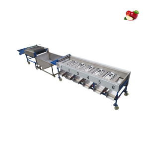 Fruit Picking Machine for Sale Cherry Tomato Sorting Machine Fruit Washing Machine - Product Image 6